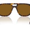 Ray-Ban  RB2213 B-15 Brown