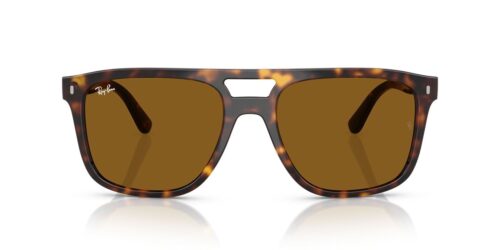 Ray-Ban  RB2213 B-15 Brown