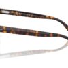 Ray-Ban  RB2213 B-15 Brown