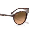 Ray-Ban  RB2215 Pink Gradient Black