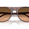Ray-Ban  RB2215 Pink Gradient Black