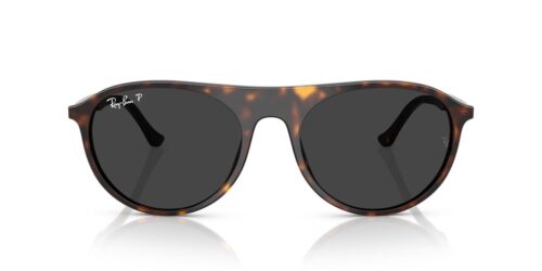 Ray-Ban  RB2215 Polar Black