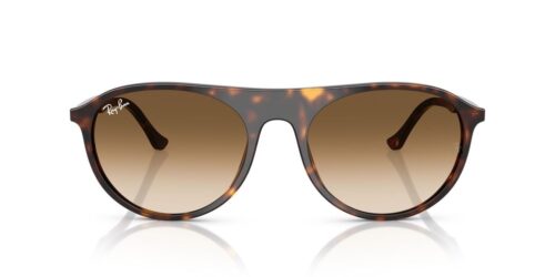 902/51 - Havana frame / CLEAR GRADIENT BROWN lenses