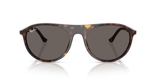 902/B1 - Havana frame / DARK GREY lenses