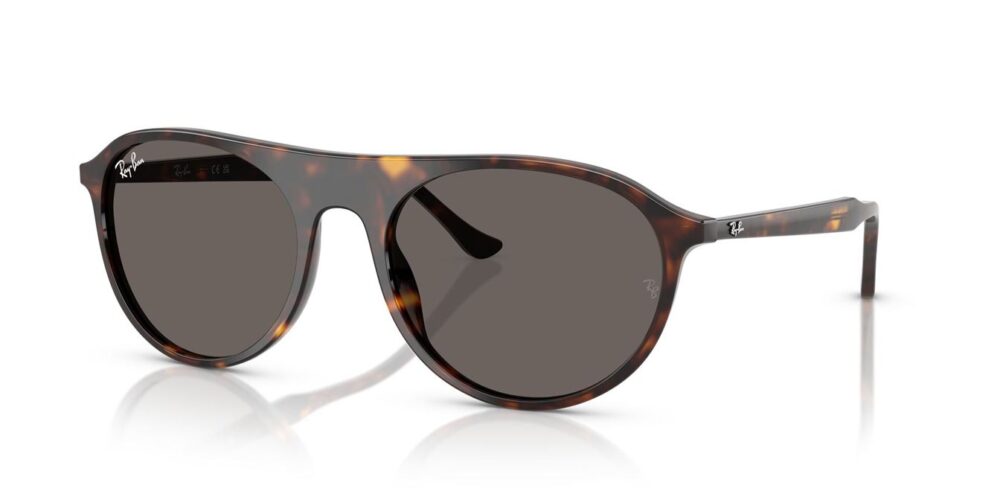 Ray-Ban RB2215 tmavošedá