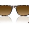 Ray-Ban  RB2216 Gradient Brown