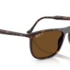 Ray-Ban  RB2216 Brown Polar