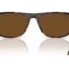 Ray-Ban  RB2216 Brown Polar