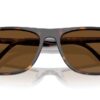 Ray-Ban  RB2216 Brown Polar