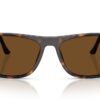 Ray-Ban  RB2216 Brown Polar