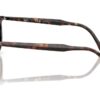 Ray-Ban  RB2216 Brown Polar