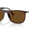 Ray-Ban  RB2216 Brown Polar