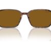 Ray-Ban Raimond RB2231 B-15 Brun