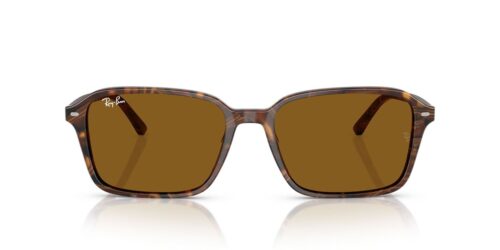 141833 - Transparent Fantasy Brown frame / B-15 Brown lenses