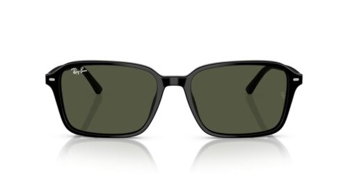 Ray-Ban Raimond RB2231 G-15 Green