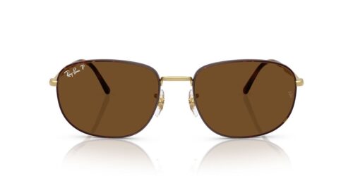 927557 - Matt Havana On Matt Arista Gold frame / Polar Brown lenses