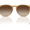 Ray-Ban Erika RB4171 Gradient Brown