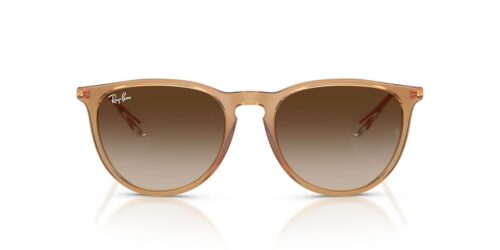 681413 - Rubber Beige frame / Gradient Brown lenses