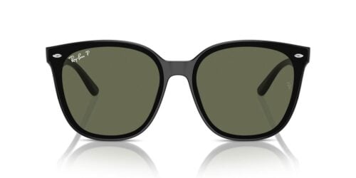 Ray-Ban  RB4423D Dark Green