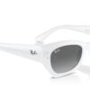 Ray-Ban Zena RB4430 Grey