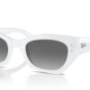 Ray-Ban Zena RB4430 Grey