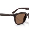 Ray-Ban RB4439D Dunkelbraun