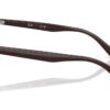 Ray-Ban RB4439D Dunkelbraun