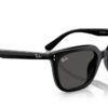 Ray-Ban RB4439D tummanharmaat