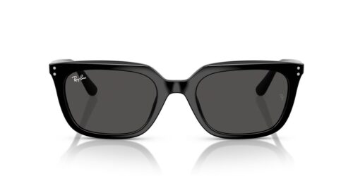 Ray-Ban  RB4439D Dark Grey