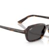 Ray-Ban Zuri RB4455 Dark Grey