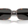 Ray-Ban Zuri RB4455 Dark Grey