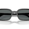 Ray-Ban Zuri RB4455 Dark Grey Polar
