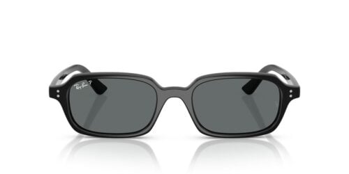 Ray-Ban Zuri RB4455 Dark Grey Polar