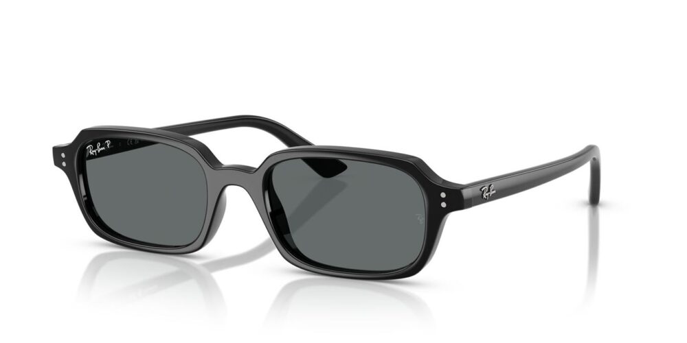 Ray-Ban Zuri RB4455 Dark Grey Polar