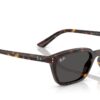 Ray-Ban Zaya RB4456 Dunkelgrau