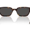 Ray-Ban Zaya RB4456 Dunkelgrau