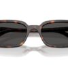 Ray-Ban Zaya RB4456 Dunkelgrau