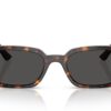 Ray-Ban Zaya RB4456 Dunkelgrau