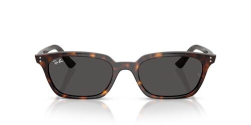 Ray-Ban Zaya RB4456 Dark Grey