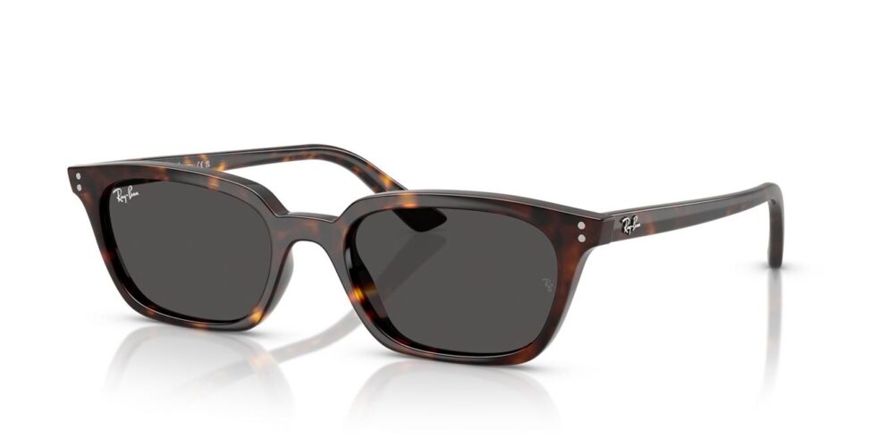 Ray-Ban Zaya RB4456 tmavě šedá