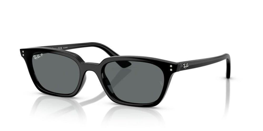 Ray-Ban Zaya RB4456 tmavě šedá polární
