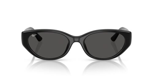 Ray-Ban  RB4457D Dark Grey