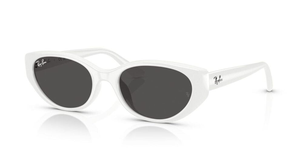 Ray-Ban RB4457D tmavě šedá