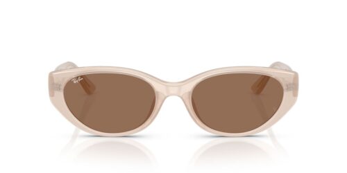 Ray-Ban  RB4457D Dark Brown