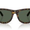 Ray-Ban Wayfarer Reverse RBR0502S Dark Green