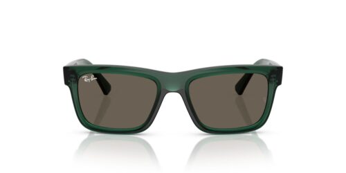 7189/3 - Monture verte transparente / Verres marron