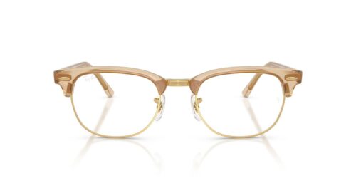 8294 - Photo Waves Brown frame / Clear lenses