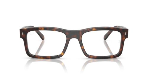2012 - Havana frame / Clear lenses
