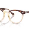 Ray-Ban Eagleeye RX5598 Clear