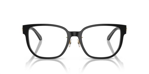 GB1 - Black frame / Clear lenses